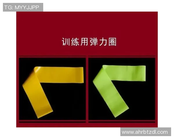 成都羽毛球队耐力表现数据分析探讨与训练策略优化研究 成都羽毛球队耐力表现数据分析探讨与训练策略优化研究