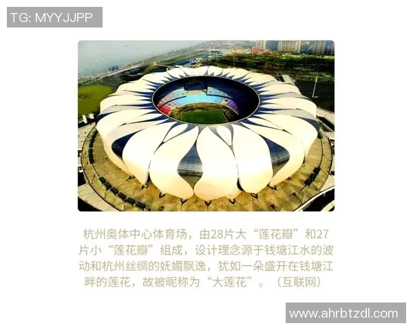 杭州网球队的阵地战解析与未来发展展望