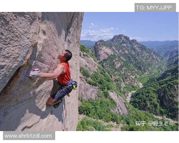 深圳攀岩队领跑最新攀岩速度TOP10榜单引发关注与热议